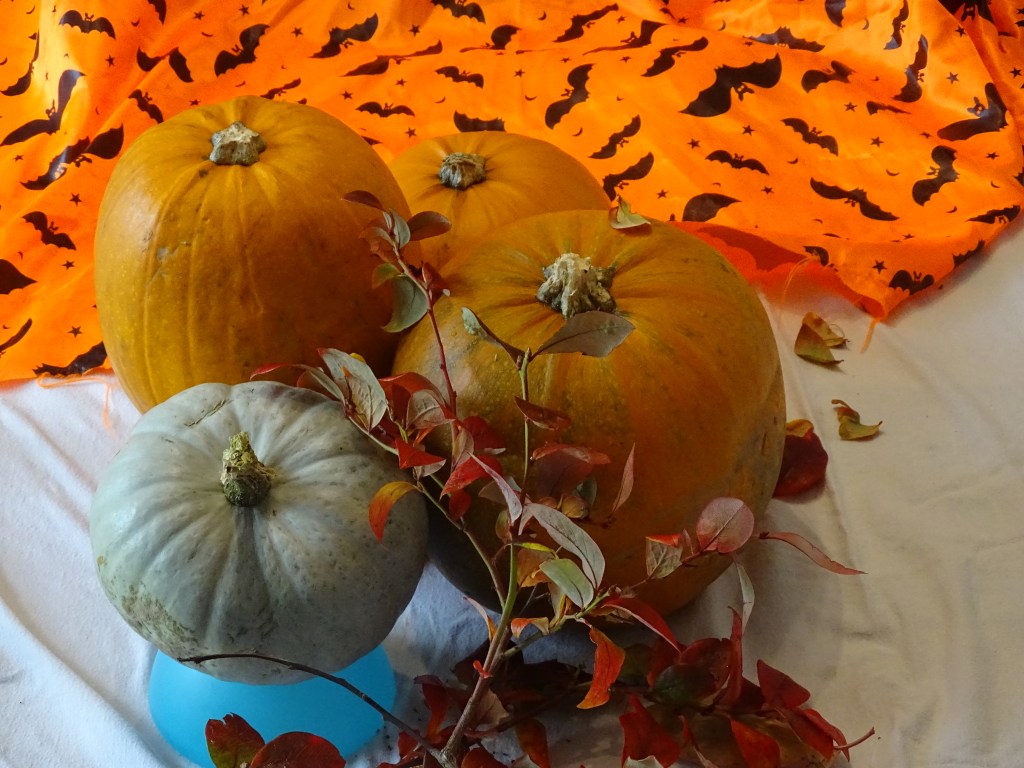 Pumpkins, halloween material with bat prints