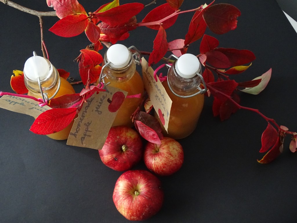 Bottles of apple juice, apples, branches of a tree, black background