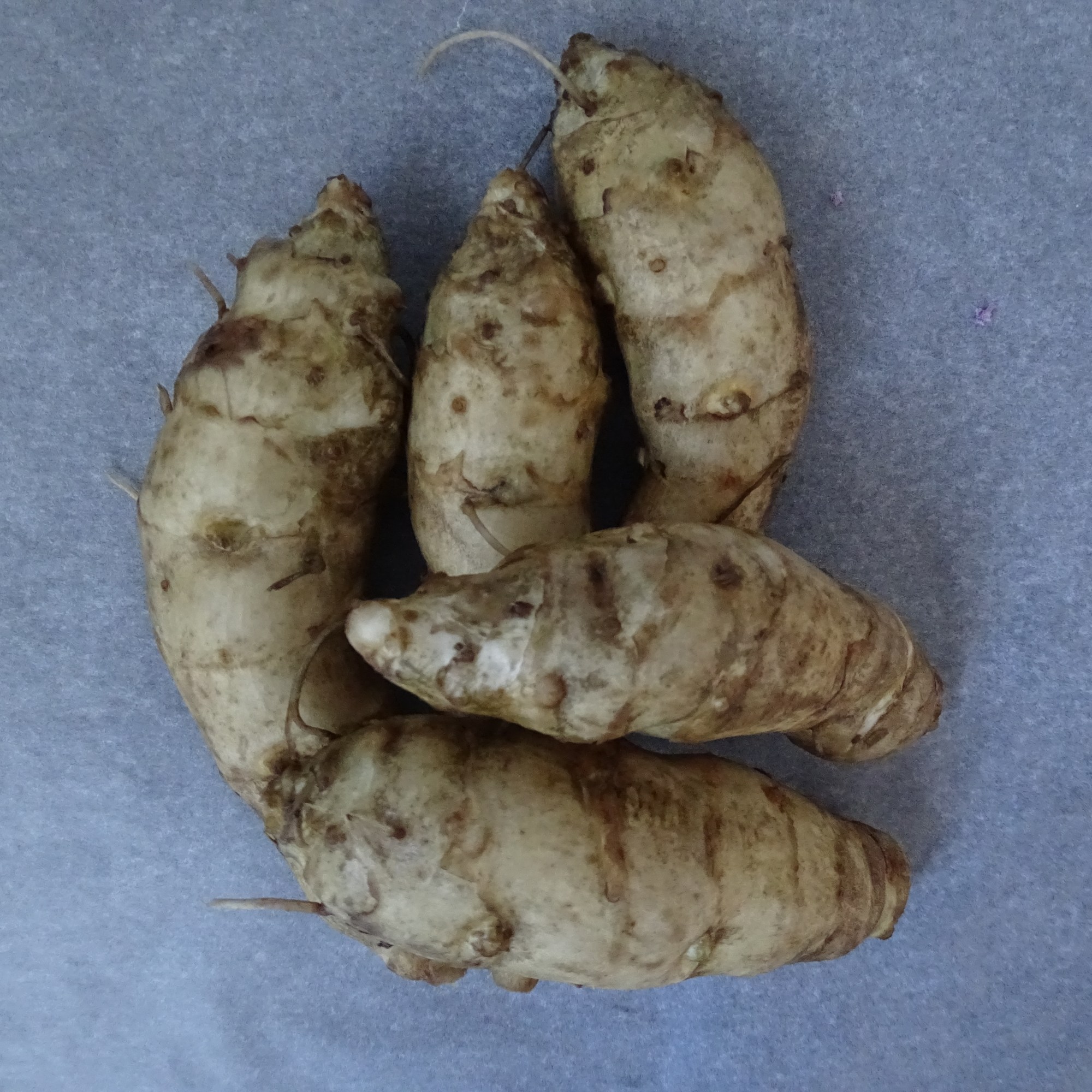 jerusalem artichokes