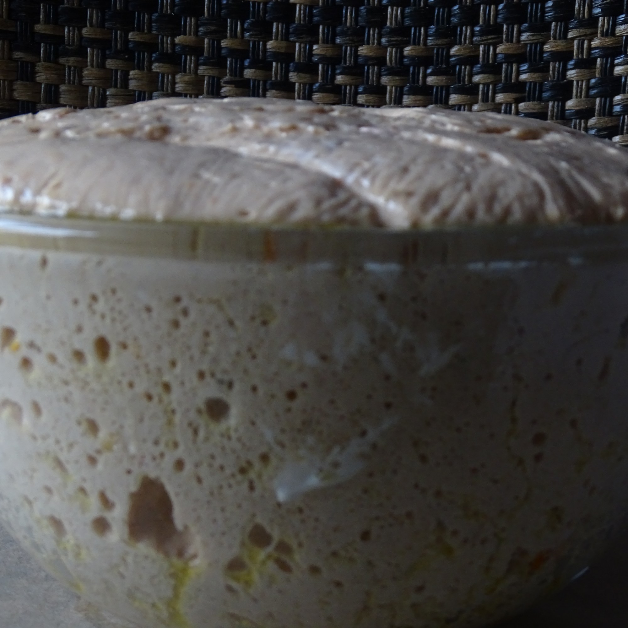 Fermenting Roasted Tomato, Olive, Fennel Seed Dough