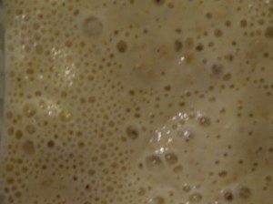 Close up of sourdough starter