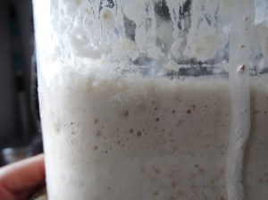Sourdough Starter,glass jar