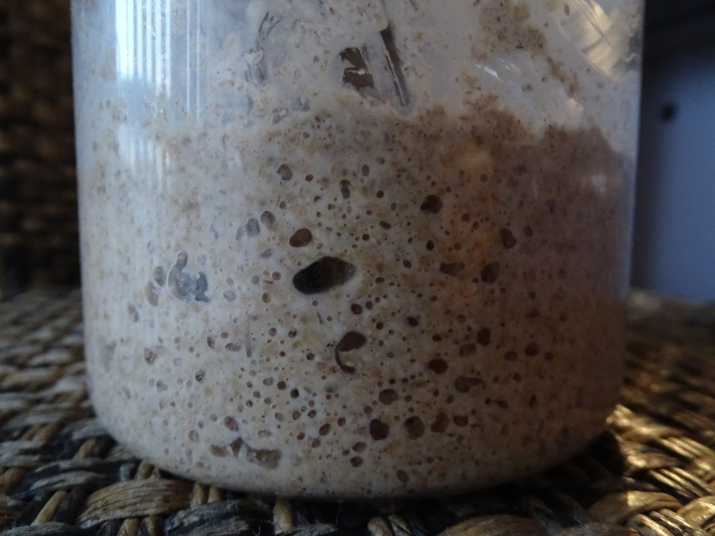 Spelt Sourdough Starter