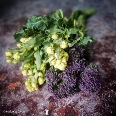 Food photography,white and purple sprouting broccoli