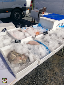 Food photography,Seafood stall, ice