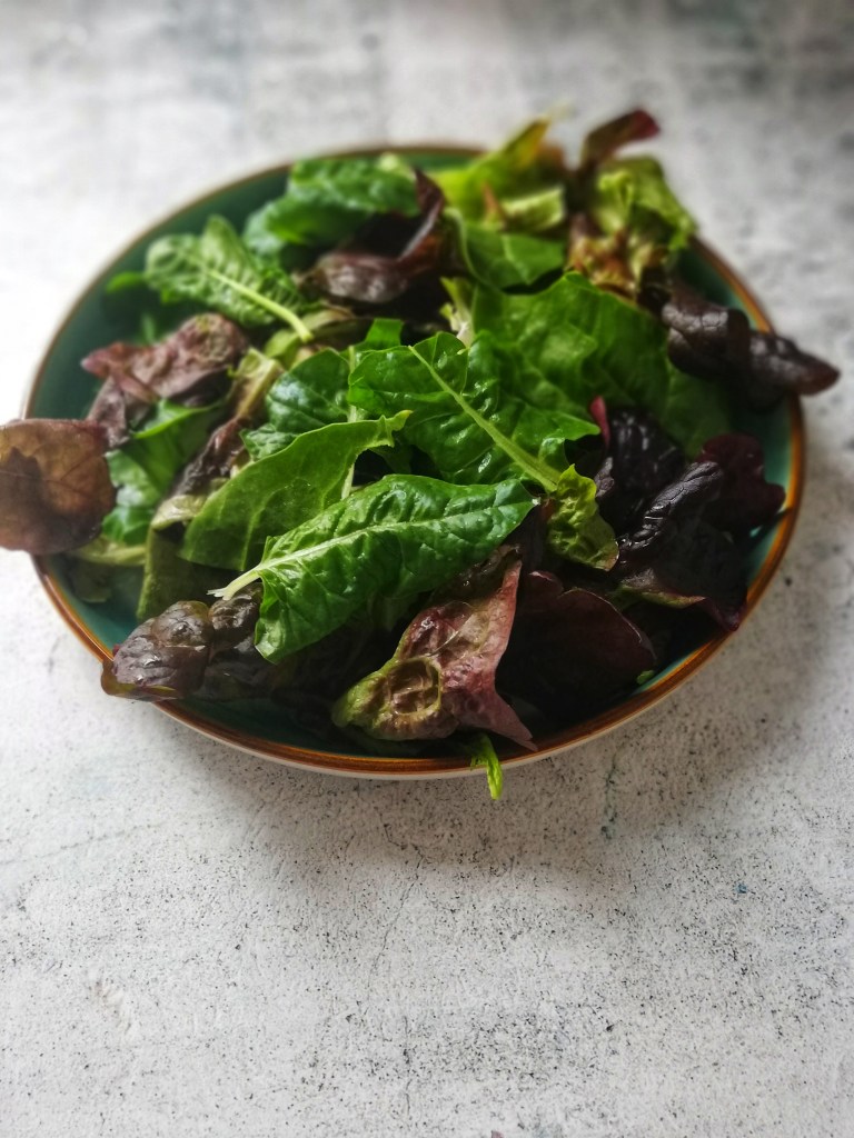 Food photography, plate of salad leaves
