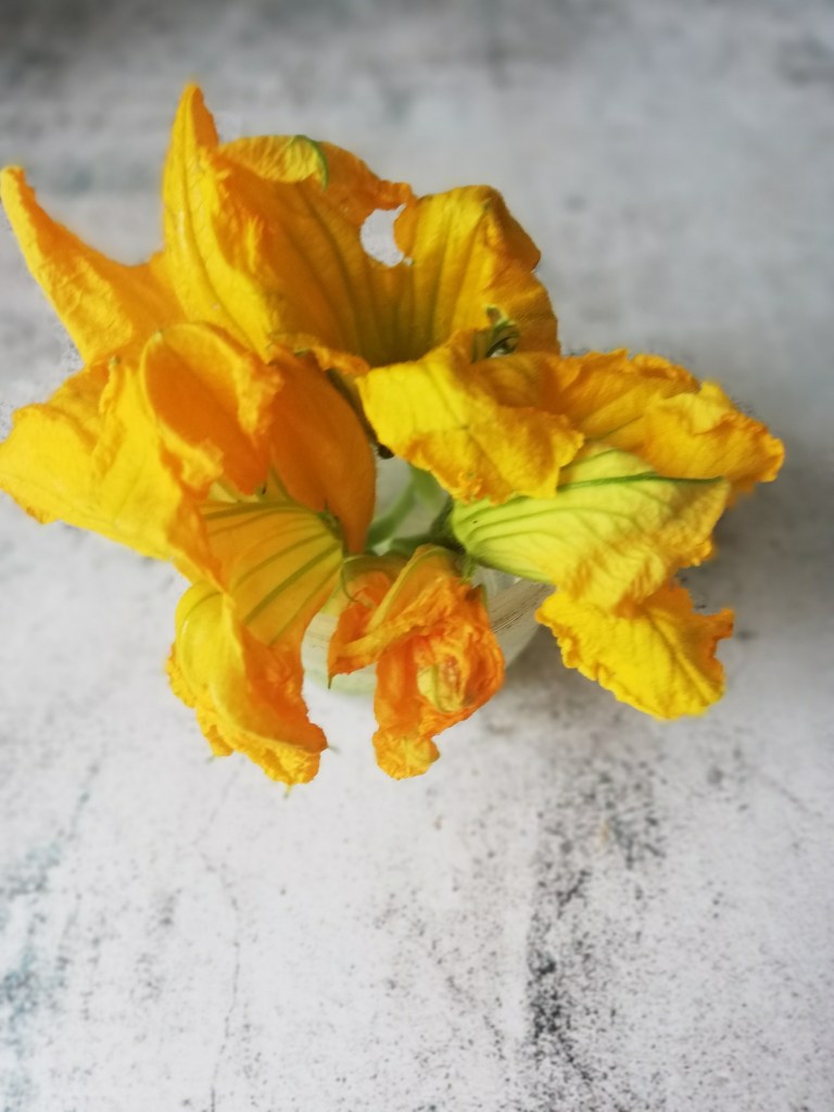 Food photography, Patty pan squash Blossom flowers