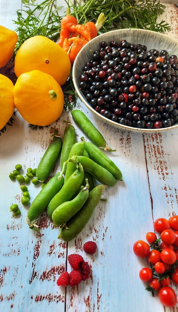Image,Produce from the garden, Pattypan squash, peas, blackcurrants, raspberry, cherry tomatoes, wonky carrots