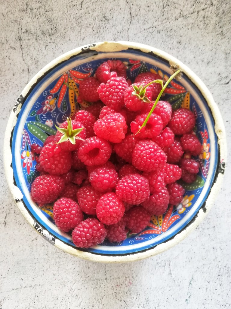 Image, freshly picked bowl of raspberries